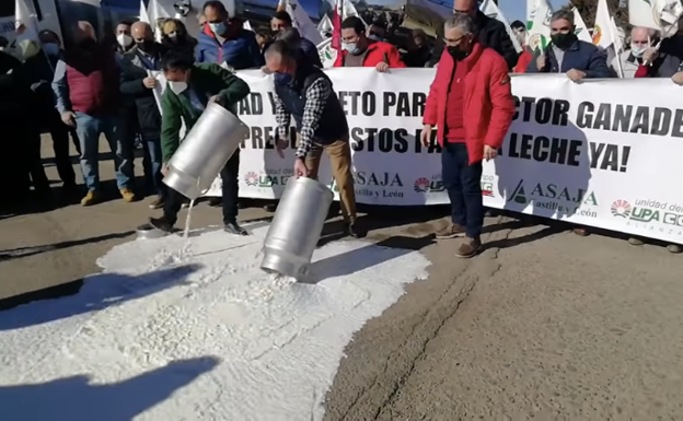 Los ganaderos exigen «precios justos para la leche ya»