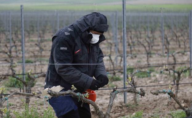 El sector agrario encadena dos meses de caída del número de parados