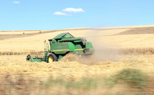 Solo la avena mantiene el tipo y suma dos euros en la lonja de León