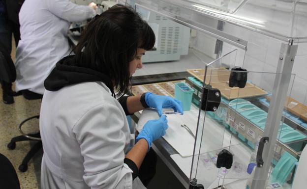 CSIF teme que la reforma laboral dificulte la actividad investigadora en las universidades