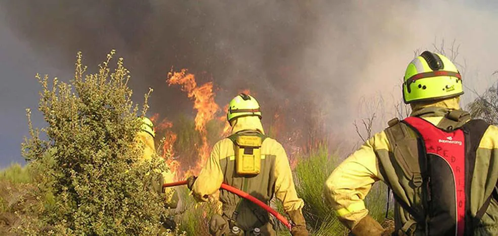 Declarado el peligro medio de incendios forestales en toda la comunidad hasta el 10 de febrero