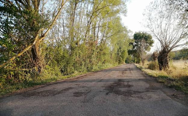 Cs celebra que se acometa el arreglo de la carretera LE-5638 entre Modino y Pesquera