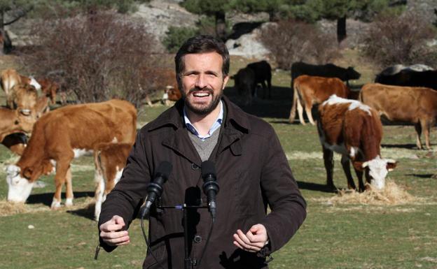 A por el voto rural