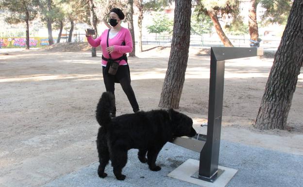 El Ayuntamiento repara los daños por vandalismo en la puerta del recinto canino del parque de La Rosaleda