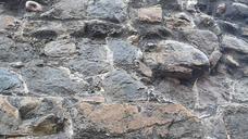 Estado de la muralla de León