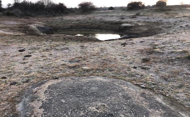 El tiempo esta semana: subida de temperaturas desde el miércoles y pastos prácticamente secos