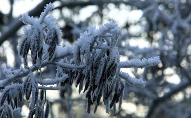 La nieve llega a las cotas más altas de la provincia