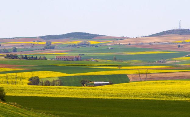 La modernización de la agricultura y los bajos precios contribuyen a la despoblación de Zamora según COAG