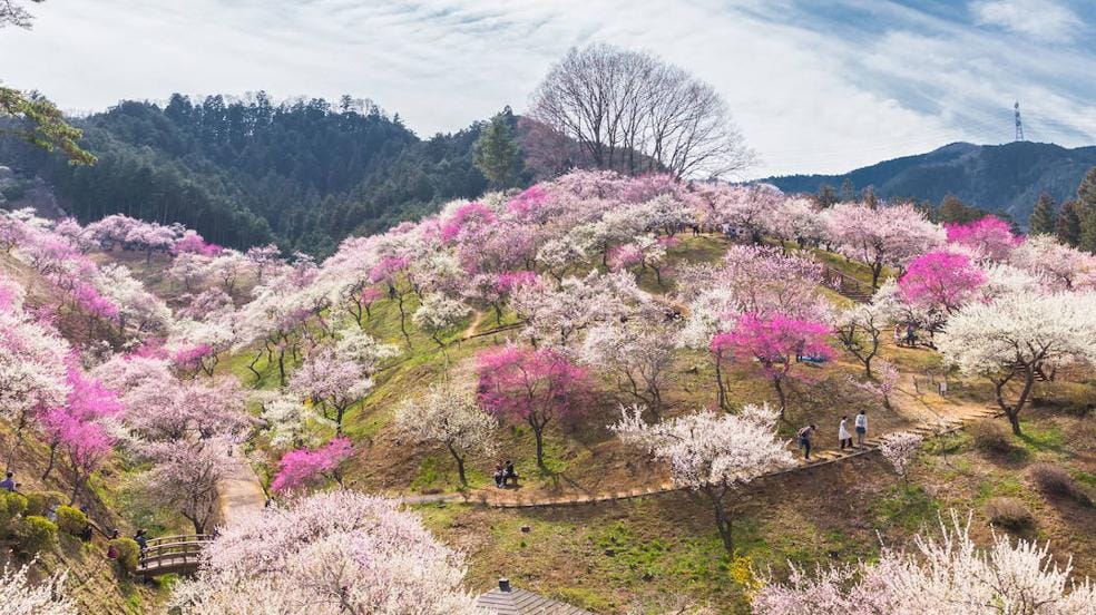 16 lugares donde disfrutar de la llegada de la primavera