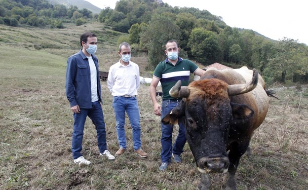 Alberto Garzón: «El modelo de producción de carne actual es insostenible»