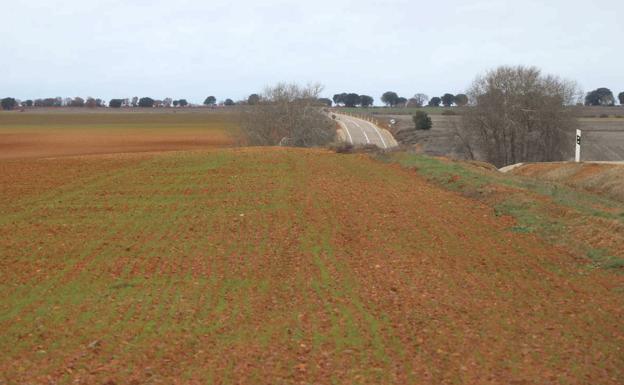 La falta de lluvias «empieza a ser muy preocupante» en el campo y algunos embalses leoneses