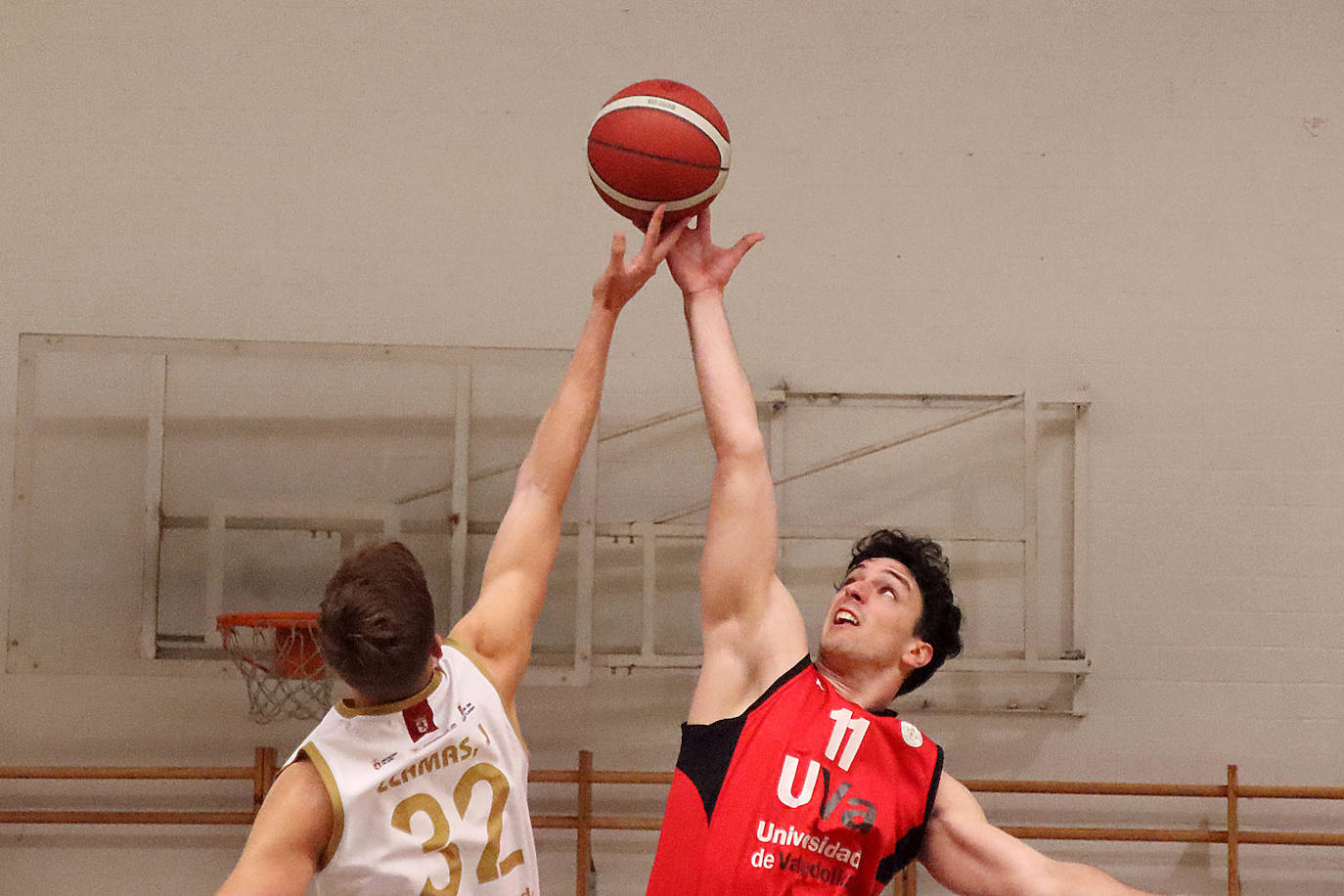 El Reino de León levanta el vuelo a costa del Universidad de Valladolid