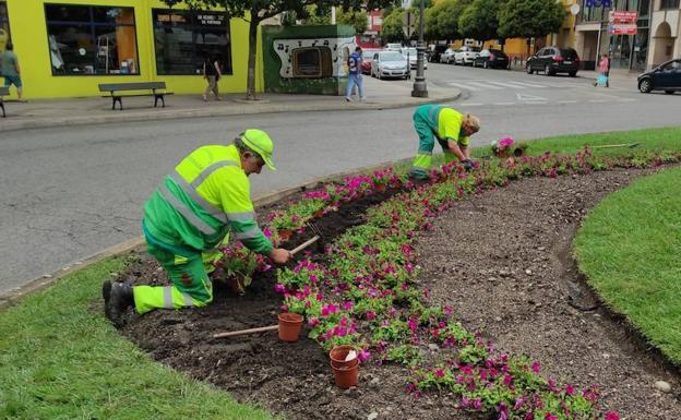 La Diputación forma a 16 personas en trabajos forestales, viveros, jardines y apicultura