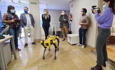 Spoc, el perro robot, en leonoticias: «Su debut en León no debía haber existido»