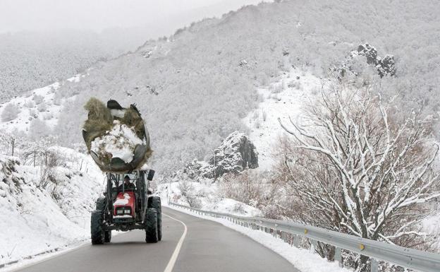 La nieve reaparece en León