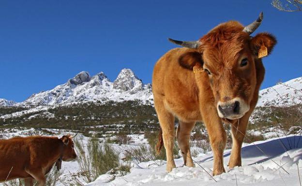 Dos zonas de la provincia se sitúan entre las diez más frías de España esta madrugada