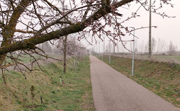 Natura Coyanza celebrará el Día Mundial del Árbol