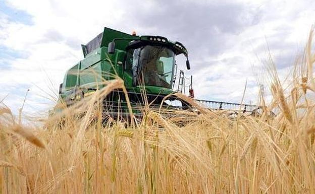 UCCL reclama al Ministerio que apueste por el campo español para buscar alternativas al cereal ucraniano