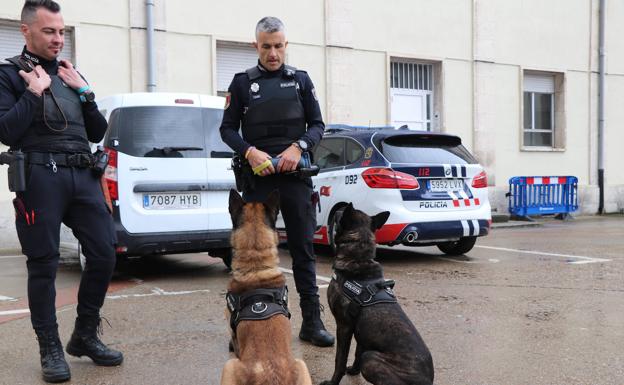 La unidad canina se 'independiza' de Seguridad Ciudadana y levantan un acta a diario en León