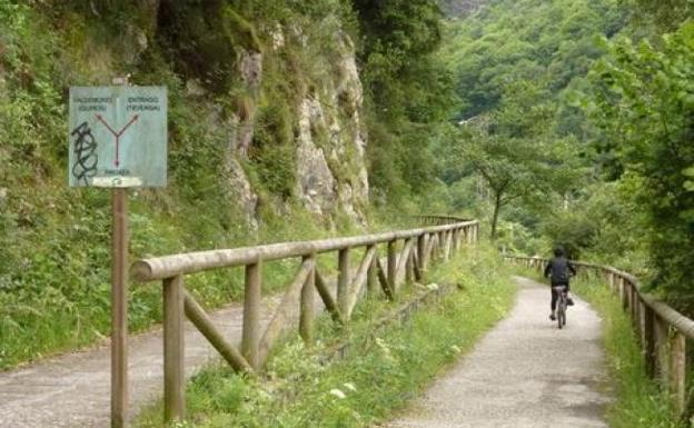 La ULE premia a las asociaciones forestales con la Insignia de Oro por su labor como cuidadores de los bosques