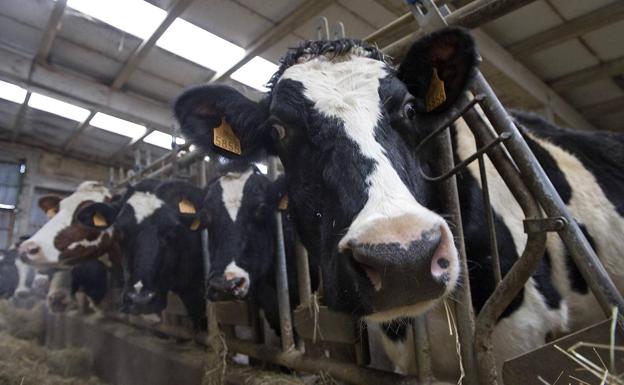 Los organizaciones agrarias piden servicios mínimos y «humanidad» ante la huelga del transporte