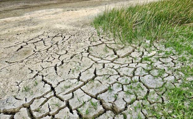 Más de 7.600 agricultores leoneses se beneficiarán de las medidas para hacer frente a la inflación y a la sequía