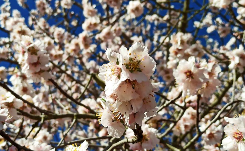 La primavera llega este domingo a León