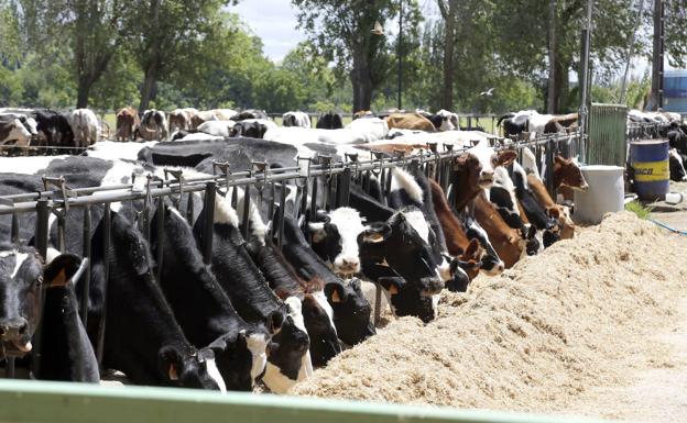 UPA Salamanca pide a los transportistas que se permita el movimiento de materias primas a las explotaciones