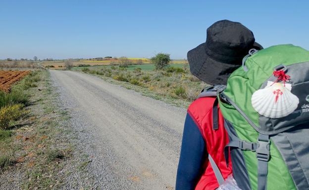 15.600 peregrinos recorrieron el Camino de Santiago en León en 2021, más del doble que el año anterior