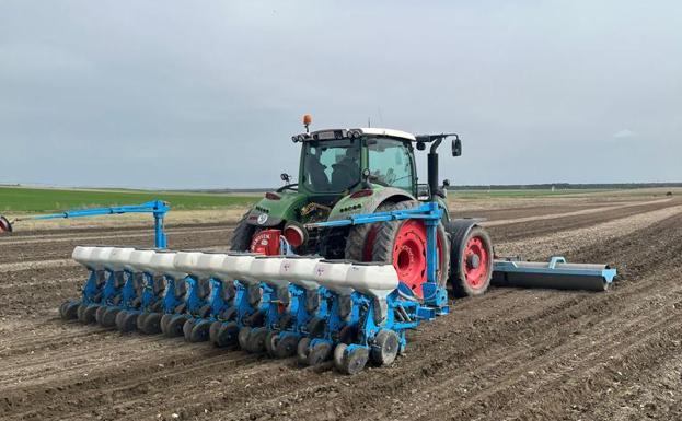 El tiempo esta semana: el campo, pendiente de las precipitaciones