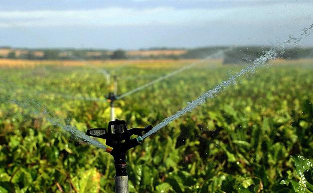 El Supremo confirma que los derechos de agua privados no han prescrito, en contra del recurso de la CHD