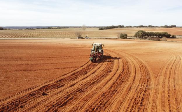 El número de parados agrarios se reduce en 61 personas en marzo y se registran 488 contratos menos