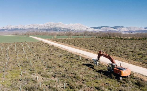 Land Life Company captará unas 50.000 toneladas de CO2 con la reforestación de 196 hectáreas en León