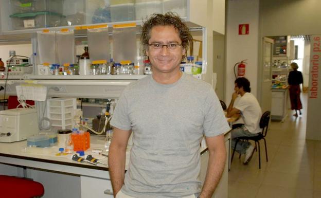 Juan Pedro Bolaños Hernández, Premio Castilla y León de Investigación Científica y Técnica e Innovación