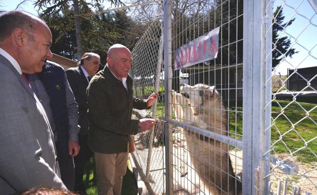 La Junta refuerza el programa 'Más que Mascotas' con una serie de vídeos informativos sobre la salud y el bienestar de los animales de compañía