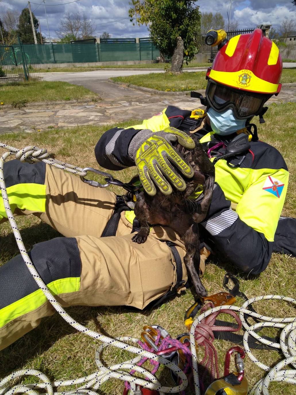 El cuerpo de bomberos de Ponferrada rescatan un gato de un pozo