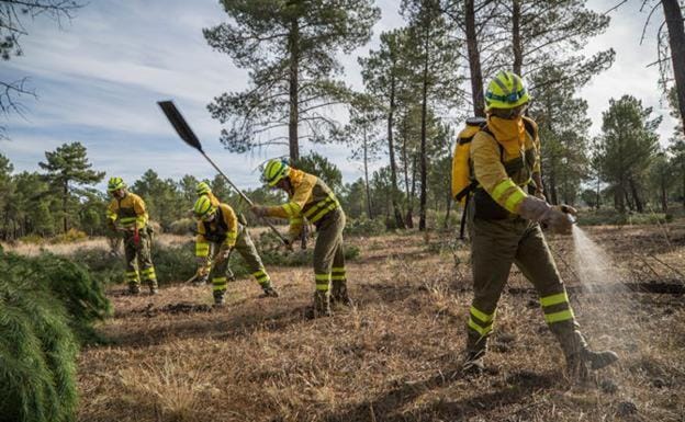 Dos millones para actuaciones preventivas de incendios en 1.273 hectáreas de monte leonés