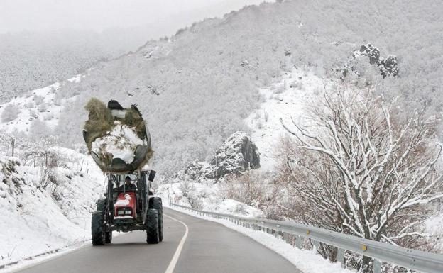 Activada la fase de alerta de viabilidad invernal en la provincia de León