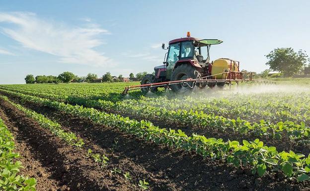 La Junta convoca ayudas por dos millones de euros para la formación de los sectores agrario, forestal y agroalimentario