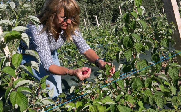 La Junta amplía el periodo de solicitud de la PAC al 15 de mayo tras las peticiones efectuadas por las organizaciones agrarias