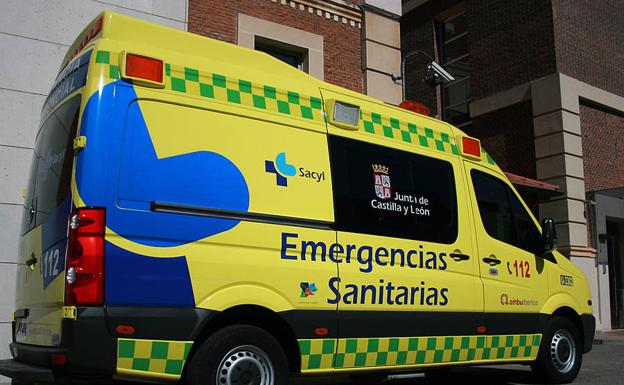 Herido grave un ciclista de 60 años tras chocar con un jabalí en una carretera de La Alberca