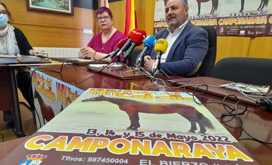 Unos 70 ejemplares de 26 ganaderías participan en la XXIV feria de caballos de pura raza española de Camponaraya