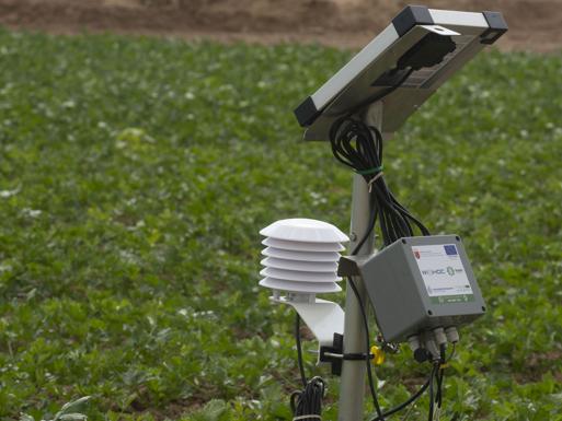 Los agricultores de zonas con exceso de nitratos deberán hacer un plan de fertilización