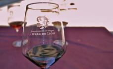 Lluvia de premios para los vinos de la DO León en los concursos de Bacchus, Vinespaña y Ecowine