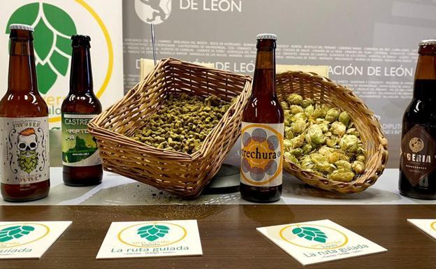 Carrizo de la Ribera pone en marcha una nueva edición de la Ruta Guiada del Lúpulo 'Oro verde'