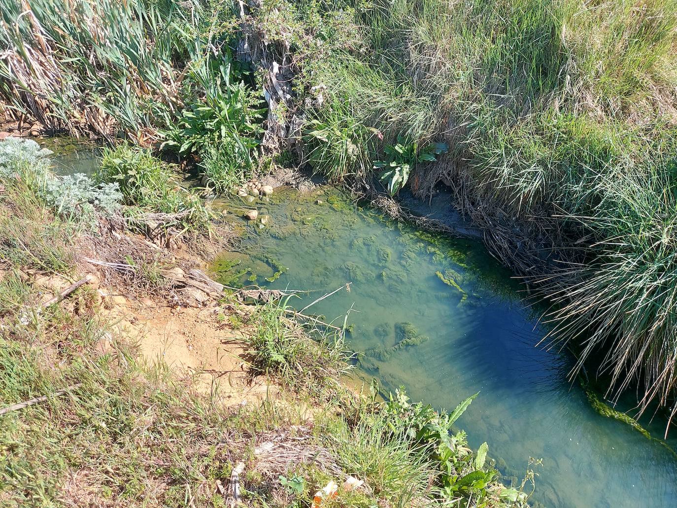 UPL en San Andrés del Rabanedo denuncia el deteriorado estado del arroyo Fontanillas a las salida del polígono de Trobajo