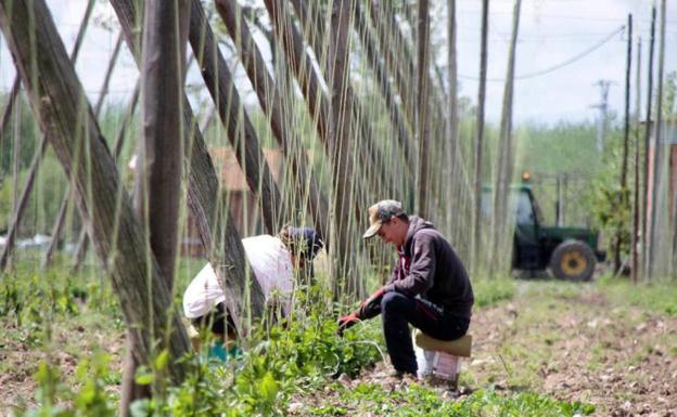 Asaja apoya la manifestación del 12-M y reivindica incentivos y promesas en materia agraria