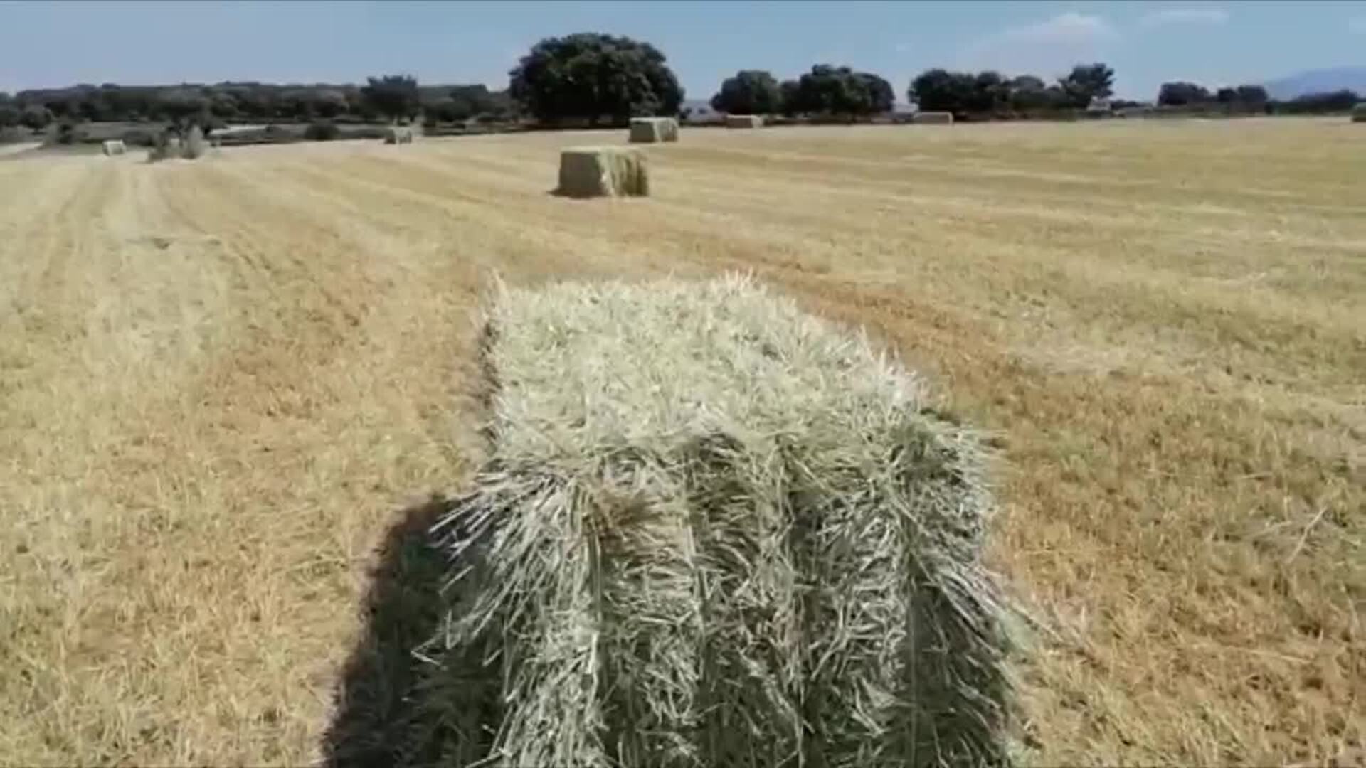 SomosCampo, el tiempo de la semana del 16 al 22 de mayo en el campo de Castilla y León