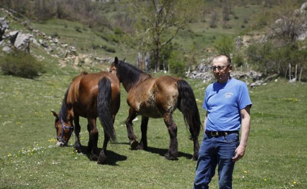 Los ganaderos leoneses del Puerto Pinos: «Vinieron desde Mieres a soliviantarnos»