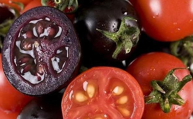 Coag lanza una campaña de recogida de firmas para rechazar la desregulación de los nuevos alimentos modificados genéticamente